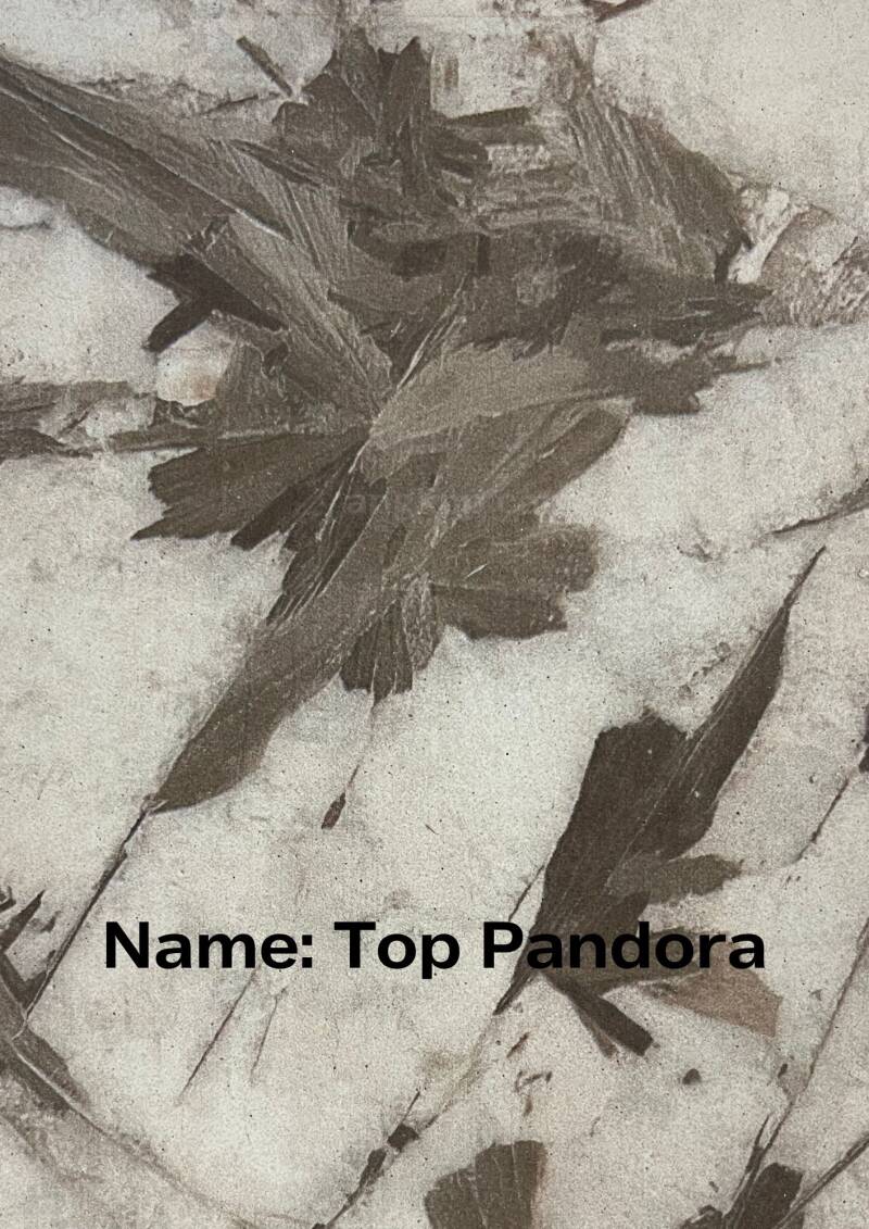 (SF) Top Pandora ��� 7.76ft��